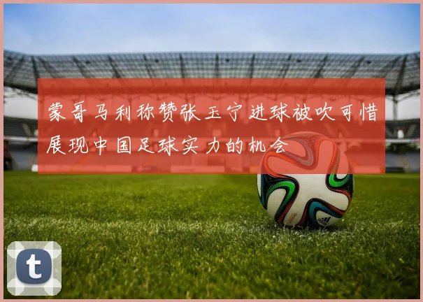 蒙哥马利称赞张玉宁进球被吹可惜展现中国足球实力的机会